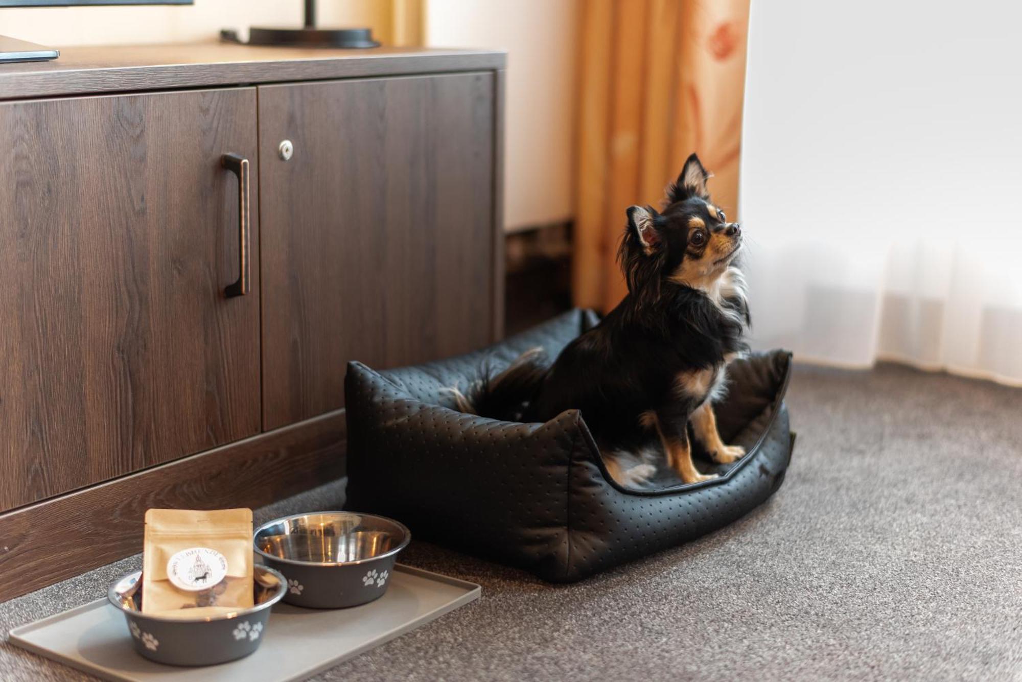 Familienapartment Mit Panoramablick Zur Frauenkirche Dresden Dış mekan fotoğraf